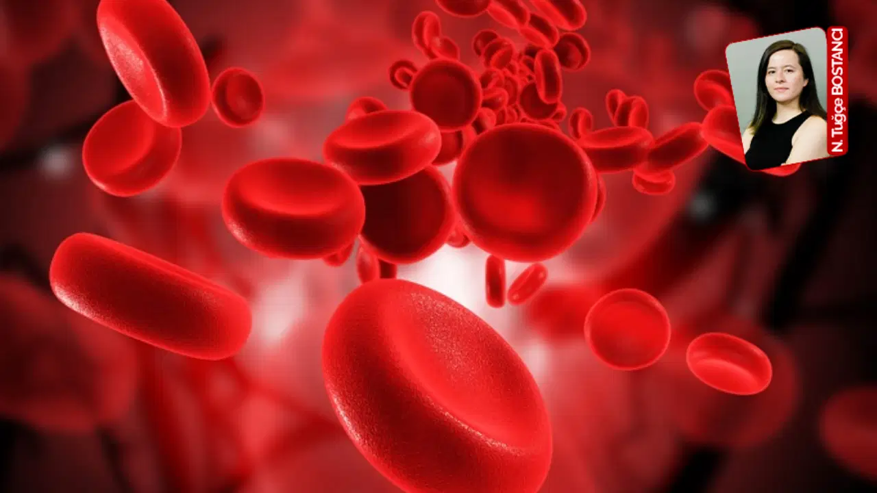 halk sagliginda gorunmeyen kriz demir eksikligi anemisi hala en yaygin sorun jEaOJvPH.jpg