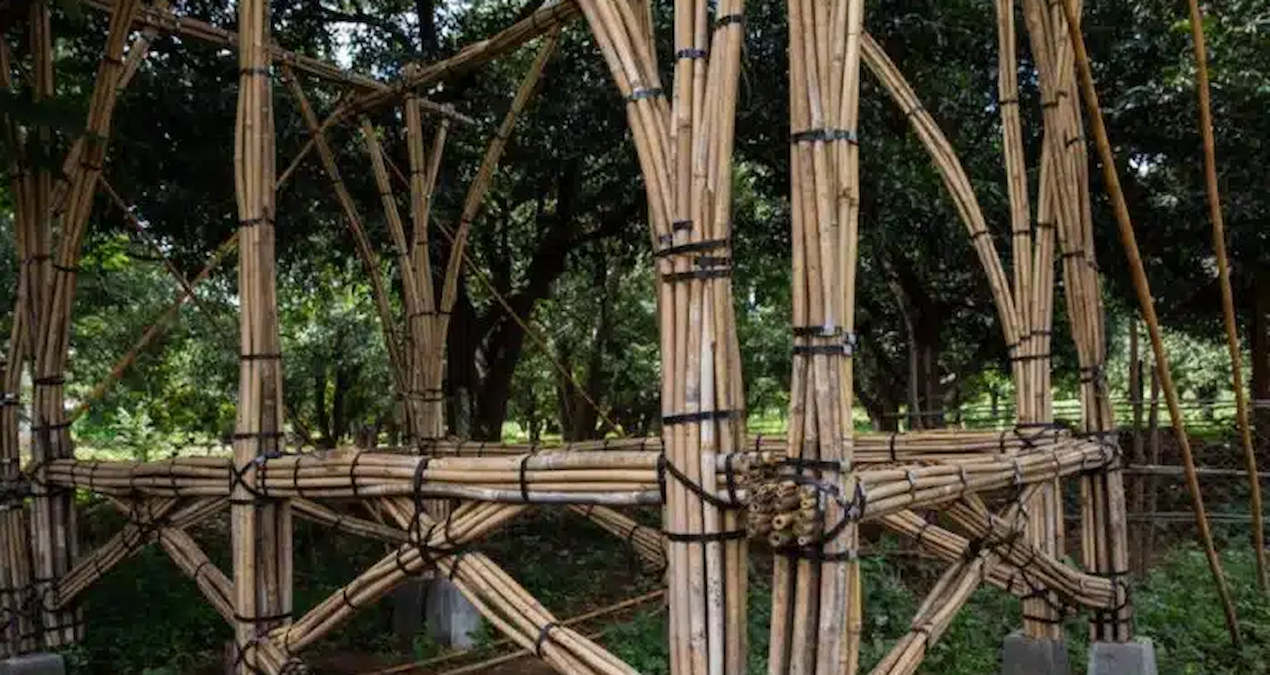 7,7 Büyüklüğündeki Deprem, Bambu İnşaatın Yükselişine Yol Açtı