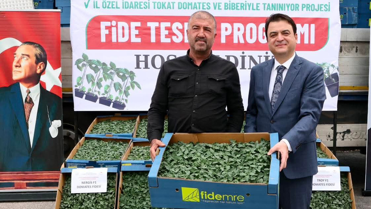 Tokat’ta Çiftçilere Destek: Binlerce Fide Toprakla Buluşuyor