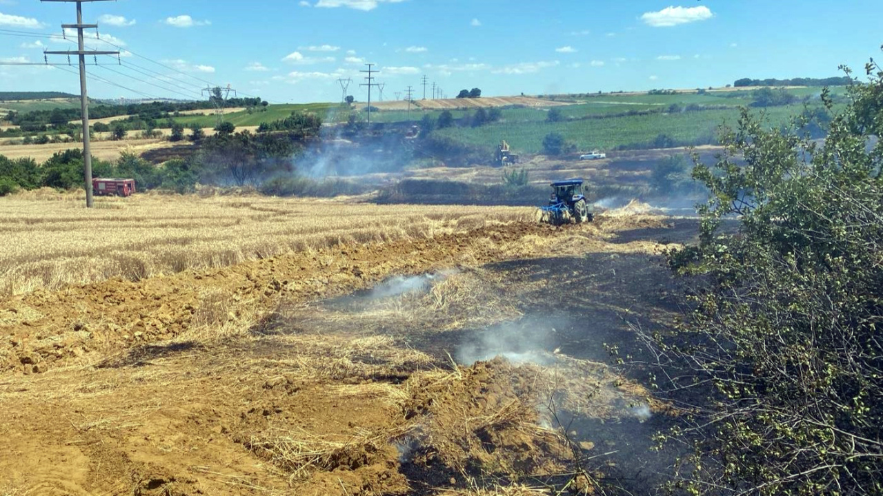 Tekirdağ’da yangın: 200 dekar buğday küle döndü!