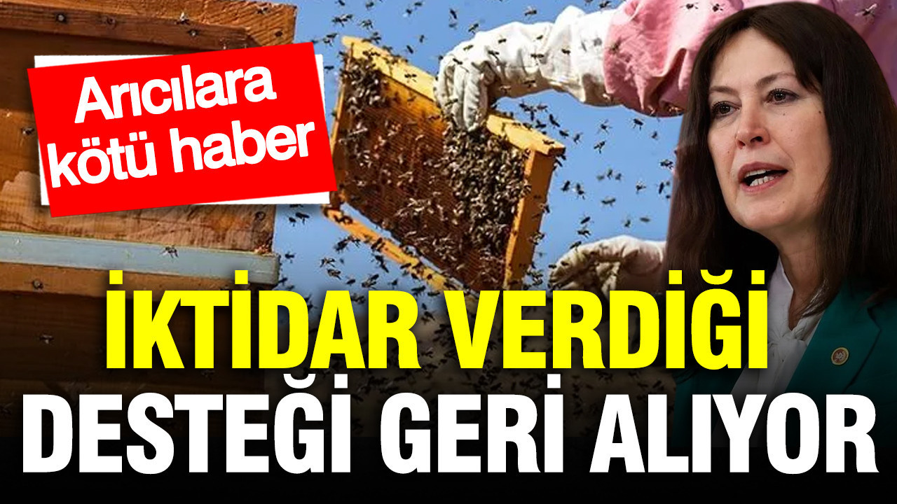 Iktidar verdigi destegi geri aliyor aricilara kotu haber Zc6qa4S3