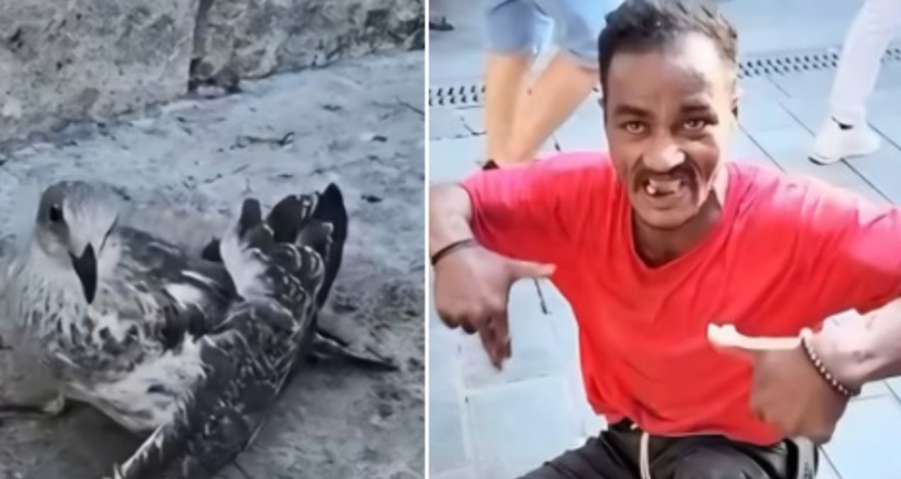 Uskudardan gelen goruntuler sosyal medyayi ayaga kaldirdi n8FQye28
